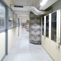 università to